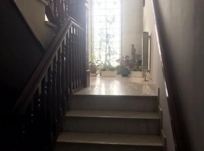 Ana Ipatescu * 克拉奥华