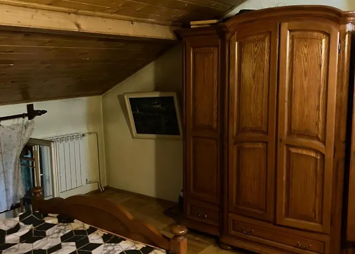 Ana Ipatescu * 克拉奥华